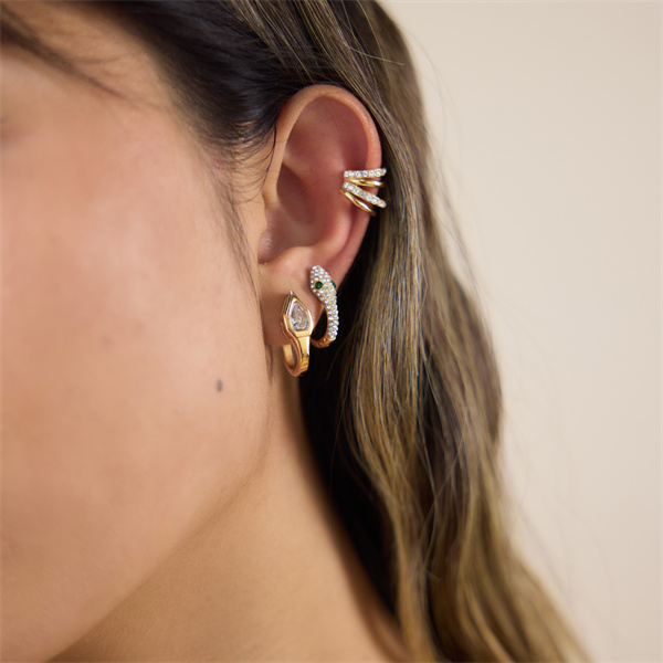 pvd plated earing